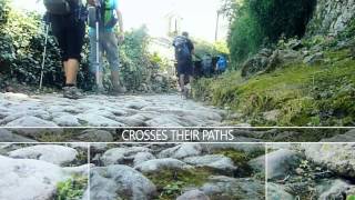 Hiking in Majorca GR-221 (Tramuntana Mountains)
