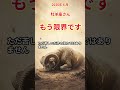 【牡羊座さん】もう限界です…我慢してきた流れが終わります #shorts