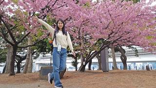 Tokyo Live 💖🌸 Sakura Season Begins! Ueno Cherry Blossom Festival - Akihabara & Asakusa IRL walk