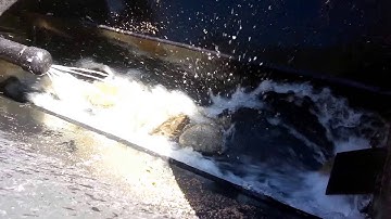 First Run In the New Trommel I built at home & GOLD!!!