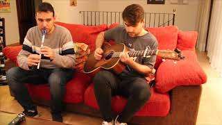 The Treasures Money Can’t Buy / Hole In The Hedge (Irish jigs on tin whistle & guitar) chords