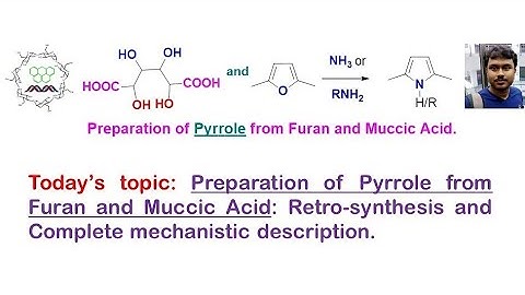 Pyrrole preparation from Muccic acid and Furan: Complete mechanistic description.