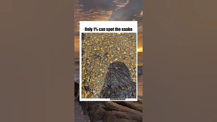 Only 1% can spot the Snake🐍👀🤔 #shorts #trending #viral #viralvideo