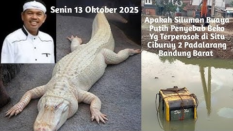 Part 2 Apakah Siluman Buaya Putih Penyebab Beko Terperosok di Situ Ciburuy Padalarang KBB#kdm