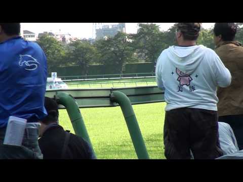 ２０１０年１０月２日　中山競馬場１０R　勝浦特別　ゴール前