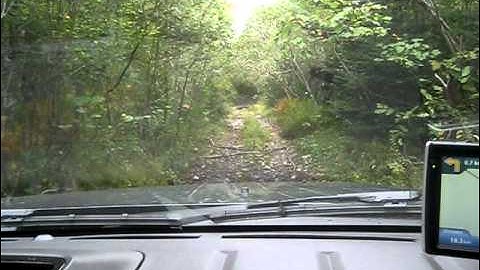 Following GPS into a forest