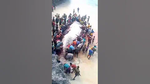 Samaki Mkubwa Aoneka Pemba 