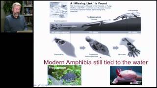 Biology 1001 - Animal Evolution 3