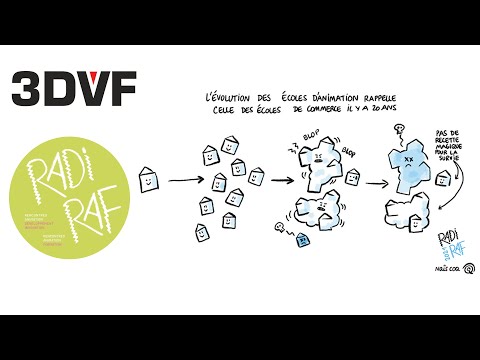 Devenir des écoles indépendantes d'animation : la fin d�€�un modèle français ? - RADI-RAF 2021