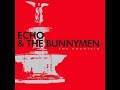 The Fountain ECHO AND THE BUNNYMEN with CHRIS MARTIN.wmv