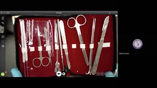 Student Tutorials- Brain Dissection using our Anatomage table