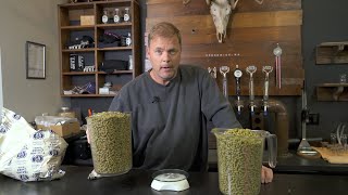 Three Bull Brewing Tips - Dry Hopping Beer - Why Brewers Do It