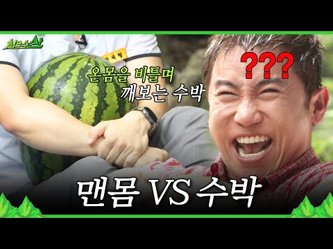 [최우수산] 맨몸으로 수박 깨기 <strong>도전</strong>🍉 얼굴로(?) 수박 깨는 유세윤, MBC 260809 <strong>방송</strong>