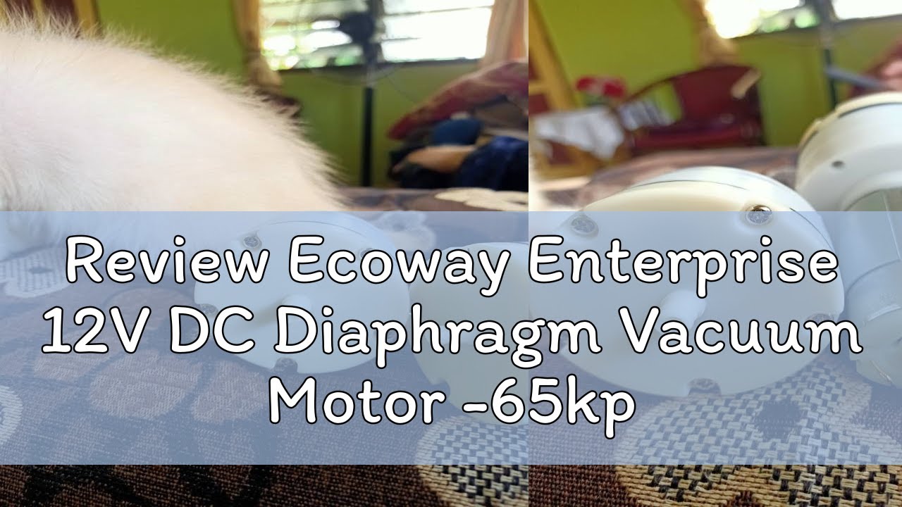 Review Ecoway Enterprise 12V DC Diaphragm Vacuum Motor -65kpa Pump Air pump Micro Vacuum Pump