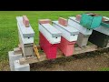 How To Make Queens Easy Mini Mating Nucs How To Make Queens Easy Mini Mating Nucs