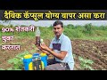 दैविक कॅप्सूल संपूर्ण माहिती | Daivic capsule use in agriculture crops | कृषी संगम