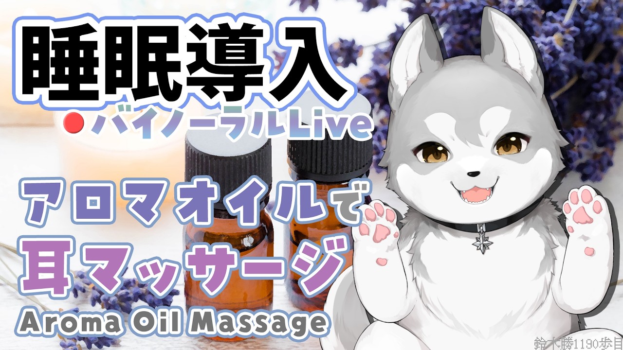 🛑【Binaural/黒3Dio】本気で眠りたい人のためのじっくりアロマオイルマッサージ 2026.9.2【にじさんじ/鈴木勝】