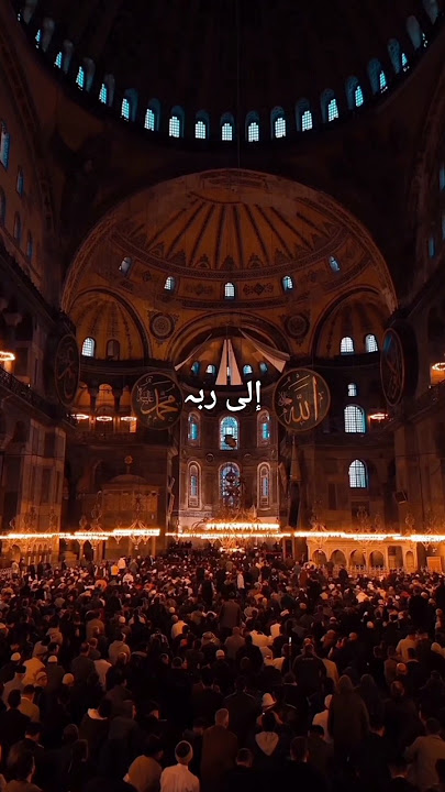 jamal-ul wujudi-nasheed status||Muhammad Al Muqit 🌿🖤🎧#shorts #@suhanamallick9852