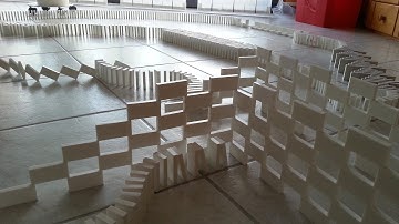 Color Changing Dominoes (White & Black)