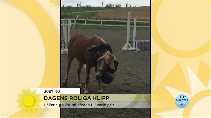 Isabelle vägrar ramla av - Nyhetsmorgon (TV4)