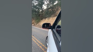 This Is What A Cammed 5.3 LS Engine Sounds Like With No Exhaust