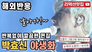 [반복없이깔끔한편집] 박효신 야생화 Park Hyo Shin Wild Flower 유희열의 스케치북 해외반응 리액션 모음