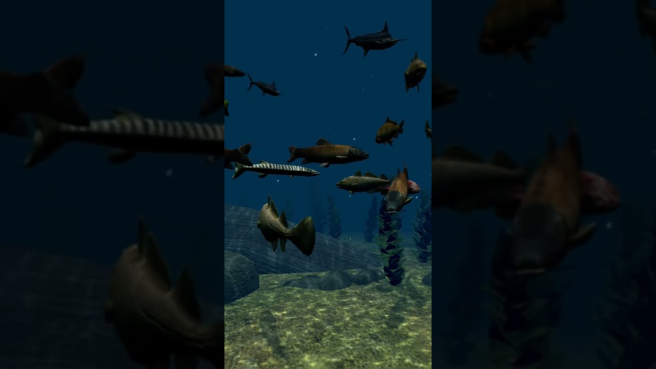 The wonderful world of the sea. 