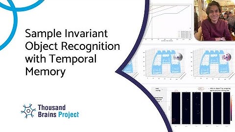 2022/05 - Sample Invariant Object Recognition with Temporal Memory