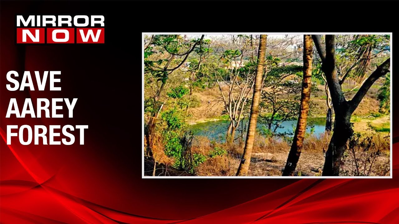 2700 trees to be cut for metro car shed project in Aarey Colony, Shiv Sena to approach court