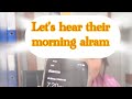 What’s your morning alarm? Let’s know ourselves | mini blog