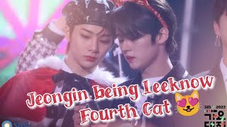 SKZ Jeongin being Leeknow Fourth Cat🐱🖤