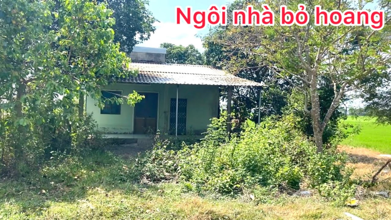 Thương Ngôi Nhà Bỏ Hoang Cây Cối Mọc Um Sùm Thấy Buồn Não Lòng