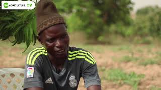 Agriculture Bio au Sénégal : visite à la ferme de Birane NGOM à Bayakh.