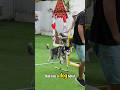 Ofcourse you can bring your 4 legged friend to Bali with you! This is a dog hotel in Bali!