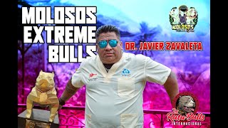 Molosos Extreme PERU del Dr. Javier Zavaleta Lujan  #americanbully  #exoticbullies