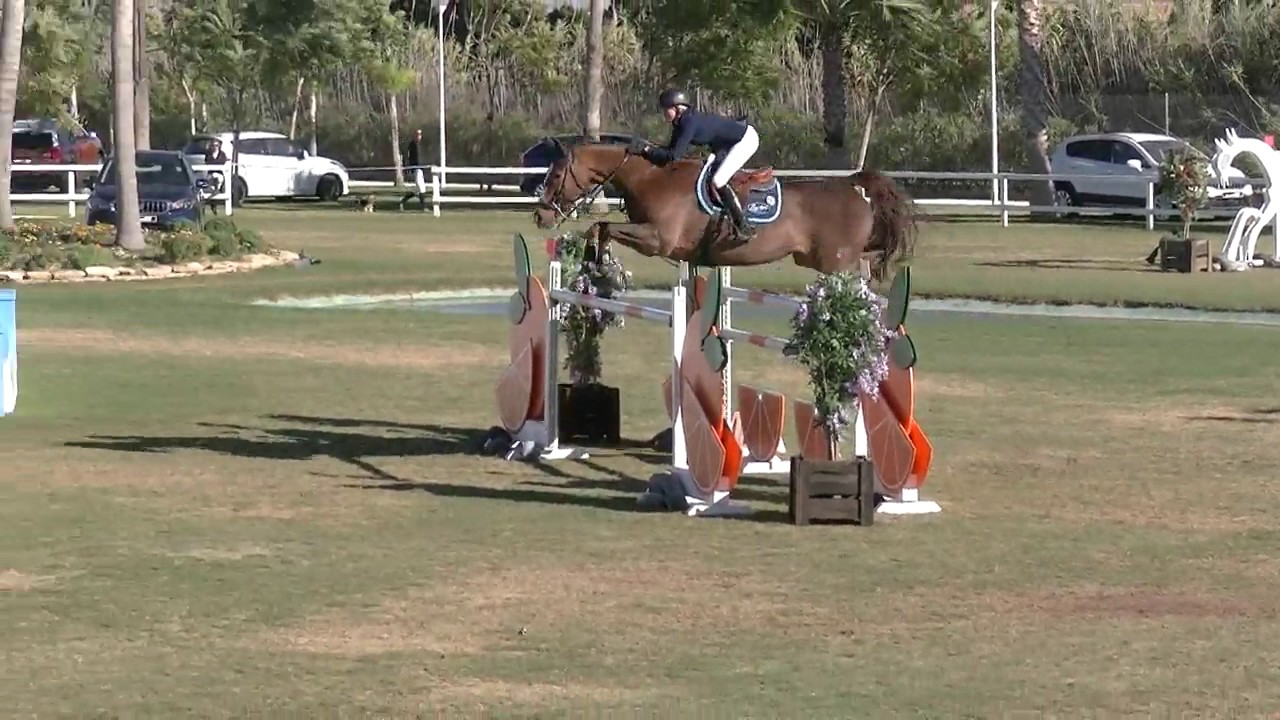 Roma IV + Alison Barton 1,45m GP in Oliva 2016 YouTube