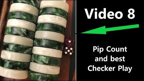 Pip Count and Checker Play