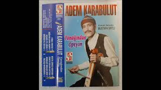 Adem Karabulut Beni Köyüme Götürün Resimi