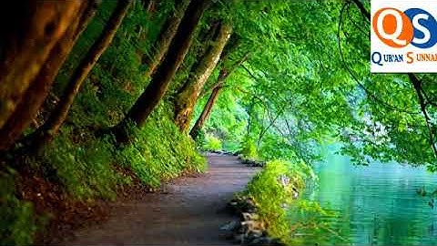 الشيخ رعد محمد الكردي سورة يوسف تلاوة مميزة جداً