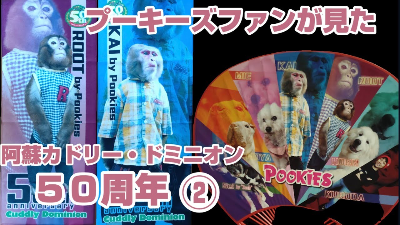 プーキーズファンが見た 阿蘇カドリー・ドミニオン ５０周年②