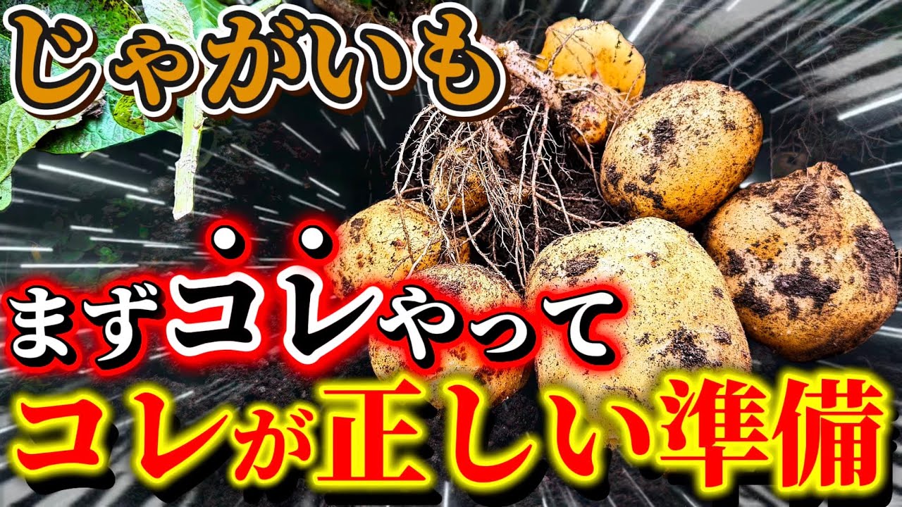 ジャガイモだよ!!  Potatoes] Get ready! We'll tell you what you need to do before