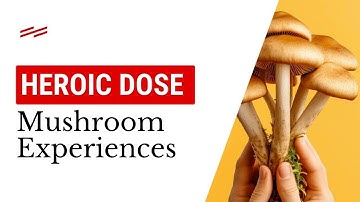 A Closer Look at Heroic Dose Mushroom Experiences