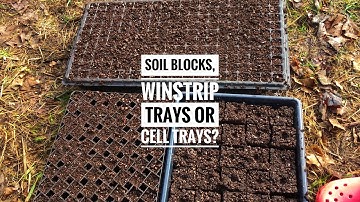 Soil Blocks, Cell Trays & Winstrip Trays | Which is Best For Seed Starting?