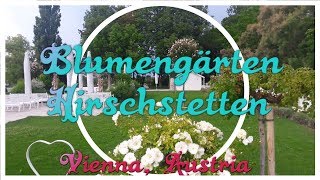 Blumengärten Hirschstetten // Vienna, Austria - очень красивый ботанический сад в Вене