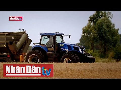 Video Giá lương thực thế giới: Hiệu ứng dây chuyền từ xung... - youtube