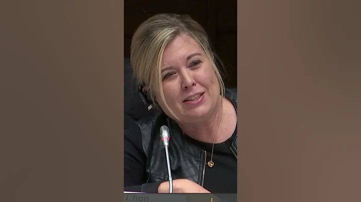 Conservative MP spars with immigration minister