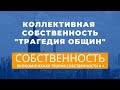 Собственность: "Трагедия общин". Экономическая теория собственности # 4. Неизвестная экономика.