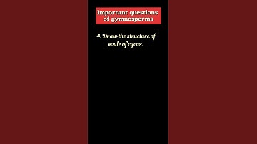 Important questions on gymnosperm #bscbotany #gymnosperms #importantquestions