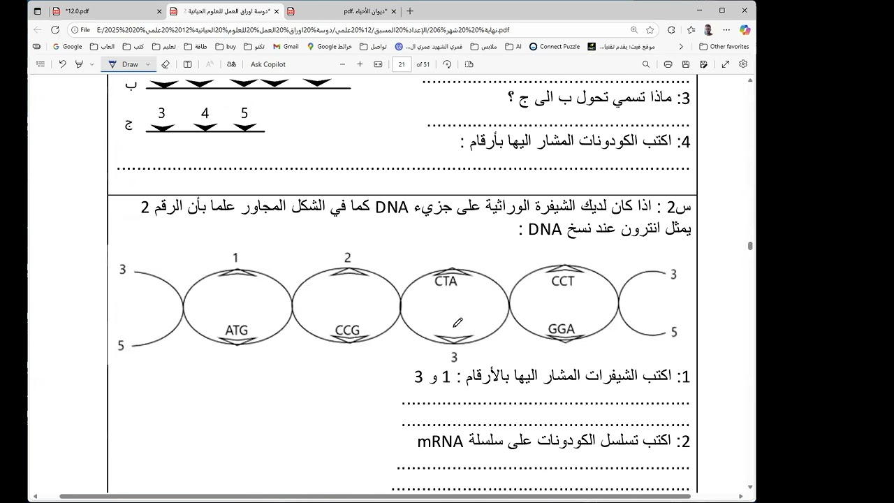 مناقشة البروتين :3 : عملية النسخ