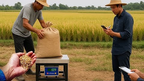 Cân điện tử 8280E Japan – Tải trọng 100kg / 200kg / 300kg – Giải pháp cân công nghiệp chính xác